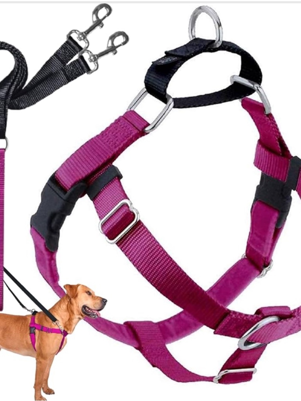 2 Hounds Design: Freedom No-Pull Harness - Picture 10 of 11